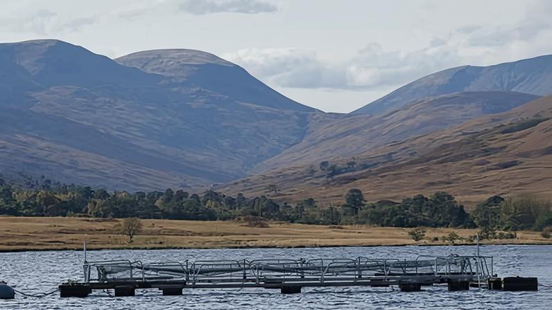 Salmon farm cages on Loch Arkaig in Scotland.