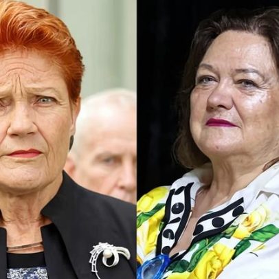 Pauline Hanson não declarou voo da empresa da bilionária Gina Rinehart
