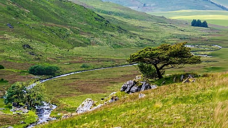 A view of the Cambrian mountains, the part of mid-Wales where the rewilding project will take place.