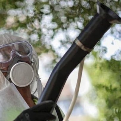 Doença tropical grave pode ser transmitida em grande parte da Europa, indica estudo