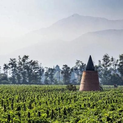 Piedra Sagrada, pérola vitícola chilena desperta interesse mundial