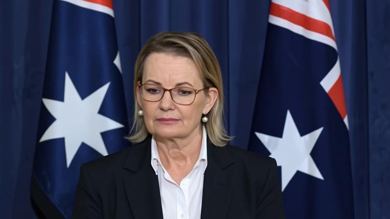 ‘Why would they vote for a party that is in coalition with the Nationals, when the Nationals’ only policy objective is to be more rightwing than One Nation?’ one Liberal MP asked.