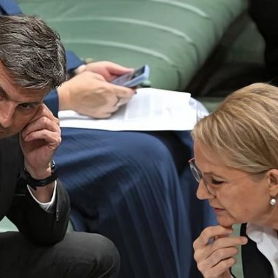 Apoiadores de Angus Taylor esperam desafiar Ley pela liderança liberal