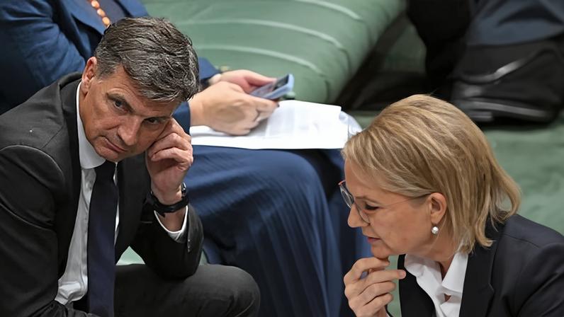 Angus Taylor expected to challenge Sussan Ley for the Liberal leadership after new disastrous polling for the Coalition.