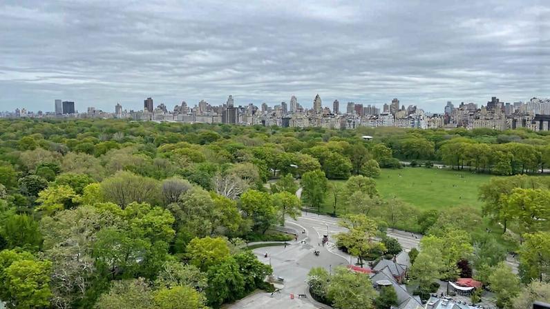Aerial view of New York’s Central Park. Image by Wil540 Art via Wikimedia Commons (CC BY-SA 4.0).