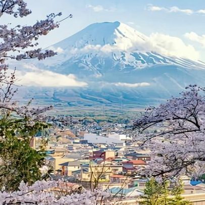 Festival de sakura no Japão é cancelado por crise de turistas