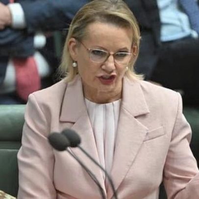 Sussan Ley alerta desunião é morte para Liberais ante desafio de Taylor