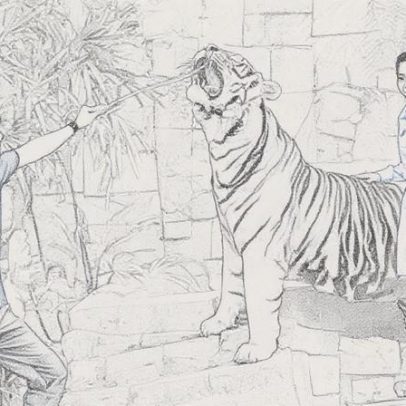 Investigação em curso após 72 tigres morrerem em parque turístico na Tailândia