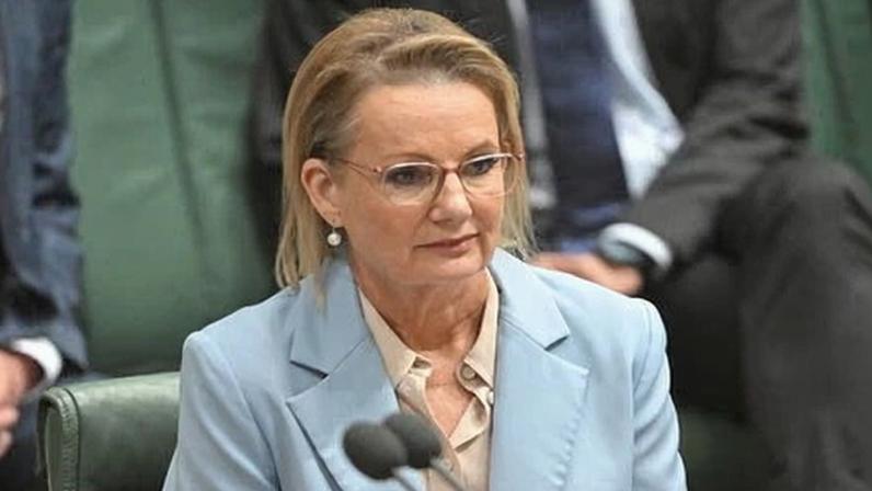 Sussan Ley met with the Nationals leader David Littleproud on Wednesday, but neither party was prepared to budge on their core demands.