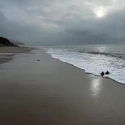 Praias erodidas por tempestade sudeste incomum