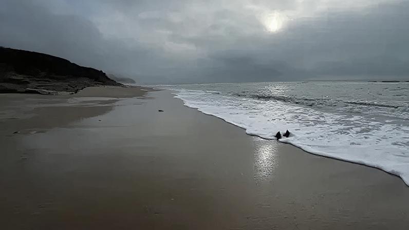 Ringstead beach is usually covered in shingle and pebbles