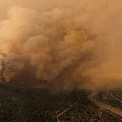 Árvores entre as mais antigas do mundo atingidas por incêndios na Patagônia