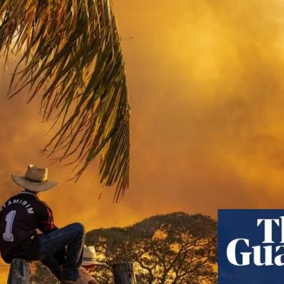 Viagem fotográfica pelo Pantanal durante os incêndios