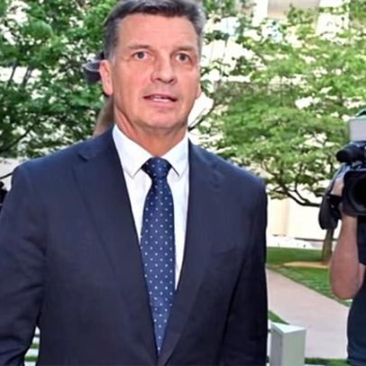 Sussan Ley parece derrotada; Angus Taylor enfrentaria grande desafio