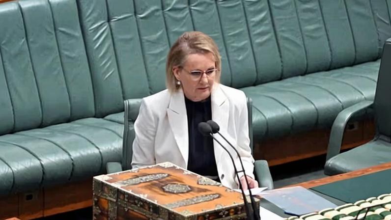 Opposition leader Sussan Ley faced a slew of resignations ahead of Friday’s leadership spill brought by Angus Taylor.