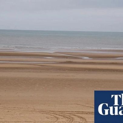 Árvores de Natal descartadas recicladas protegem a costa de Lancashire