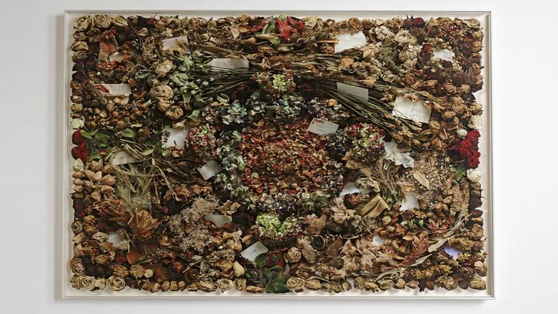 Sophie Calle’s In Memory of Frank Gehry’s Flowers (2014)