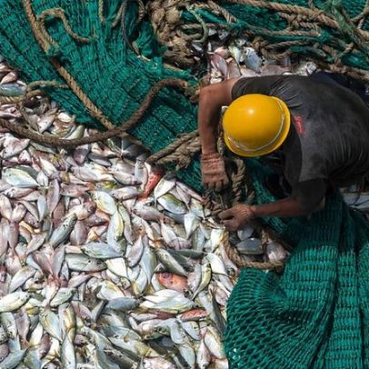 Mortes de pescadores migrantes no mar ligadas a poder descontrolado de capitães