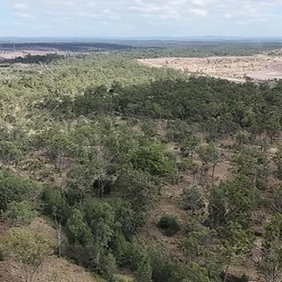Governo Albanese atua com espécies ameaçadas e projeto de carvão