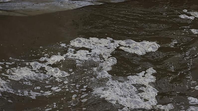 Bubbles and debris are seen in the water of the C&O canal at the site of a sewage spill near the Potomac River in Cabin John, Maryland, on 17 February 2026.