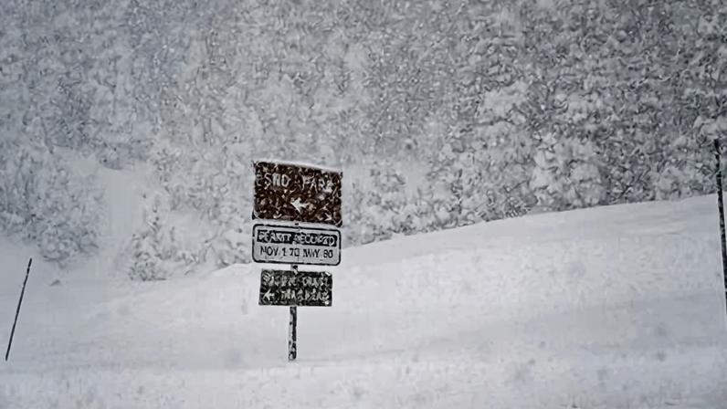 Crews found the bodies of eight backcountry skiers near California's Lake Tahoe and were searching for one more.