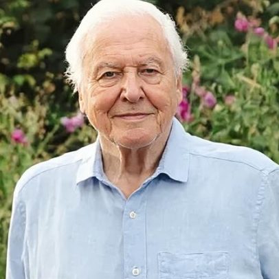 BBC planeja celebração de David Attenborough em seu centésimo aniversário