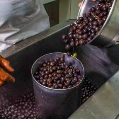 Anvisa proíbe “Café de Açaí”, glitters e veta lote de azeite por irregularidades sanitárias