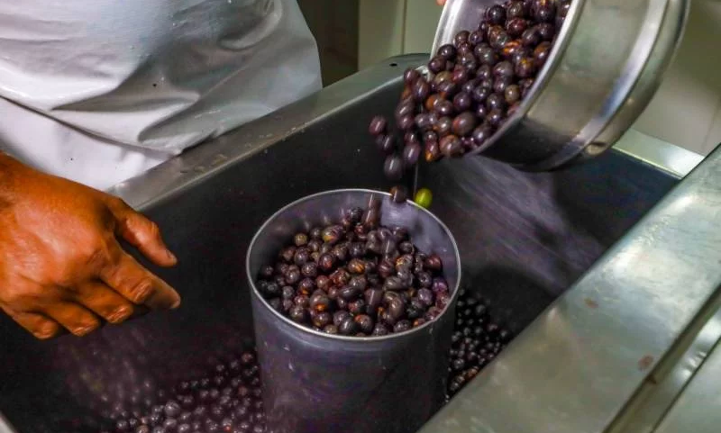 O Café de Açaí foi um dos produtos notificados pela Anvisa por irregularidades. Imagens: Fundação Cargill.
