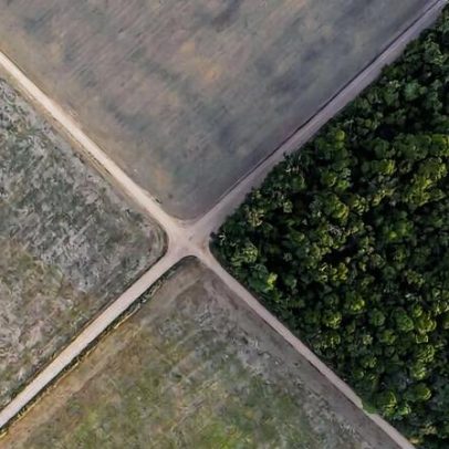 Desmatamento na Amazônia pode subir 30% com saída de traders do pacto de soja