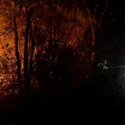 Pontes de viragem e colapso ecológico são principais riscos geopolíticos