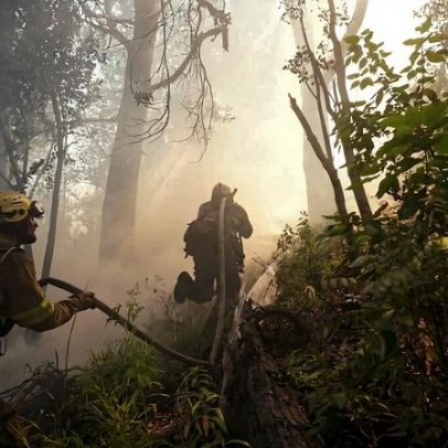 Incêndios na Patagônia destroem florestas, críticas à austeridade de Milei