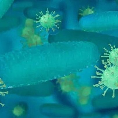 Cientistas encontram açúcar que combate bactérias resistentes a antibióticos