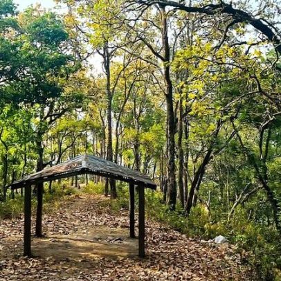 Nepal assina grande acordo de carbono, mas acesso comunitário continua difícil