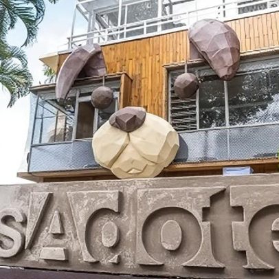 Café pet friendly em São Paulo facilita adoção de cães e gatos