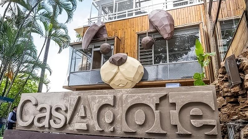 CasAdote fica localizada na Vila Madalena e abriga o Unique Garden PetCafé