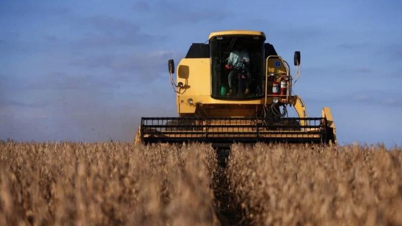 Colheita de soja no Rio Grande do Sul