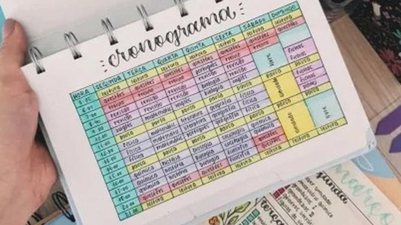 Cronograma de estudos para 2026