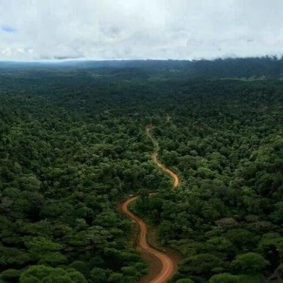 Estradas no Chocó do Equador moldam o destino da floresta