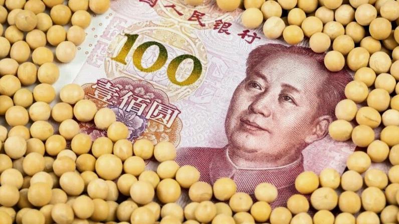 Chineses têm abastecido sua demanda por soja em outros mercados