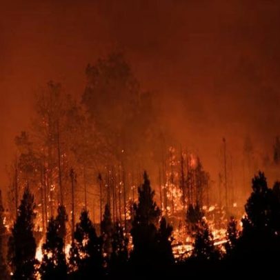 Calor recorde e incêndios intensos marcam 2026 no Hemisfério Sul