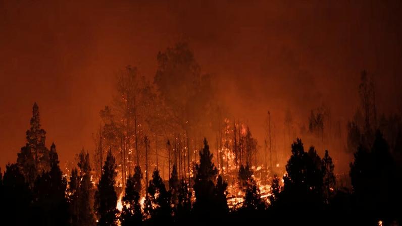 Argentina declares fire emergency as wind threatens Patagonia containment efforts