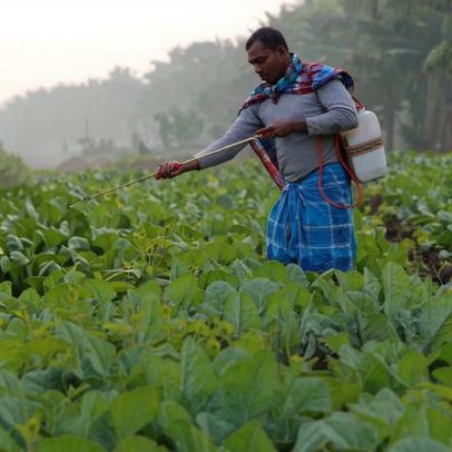 Pacto comercial Índia-EUA impacta milhões de agricultores indianos