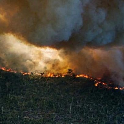 Quando a natureza se torna um risco à segurança