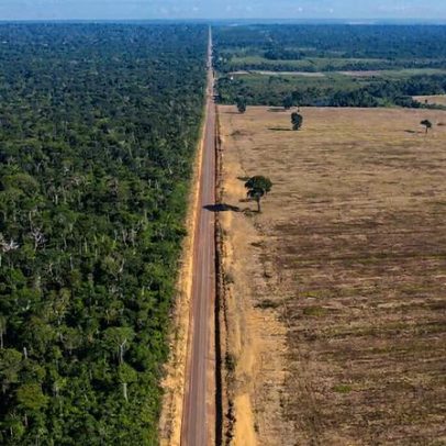 Bancos devem atuar antes do colapso da Moratória da Soja na Amazônia