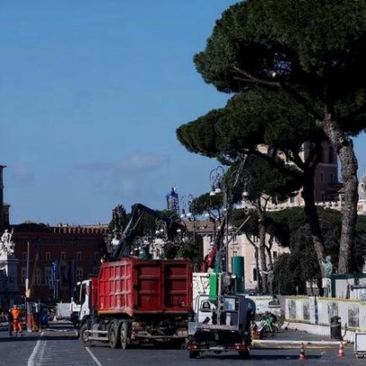 Roma corta pinheiros velhos ao longo de avenida que leva ao Coliseu