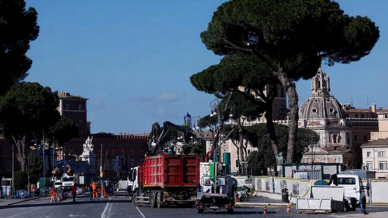 Workers cut down ageing pine trees, as part of a maintenance operation, along Via dei Fori Imperiali in central Rome, Italy, February 13, 2026. REUTERS/Remo Casilli