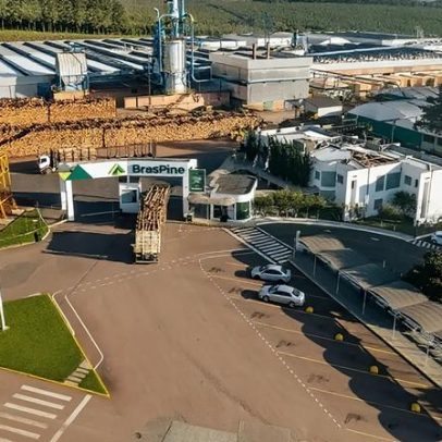 BrasPine investe US$ 250 milhões no Uruguai, primeira planta florestal no exterior