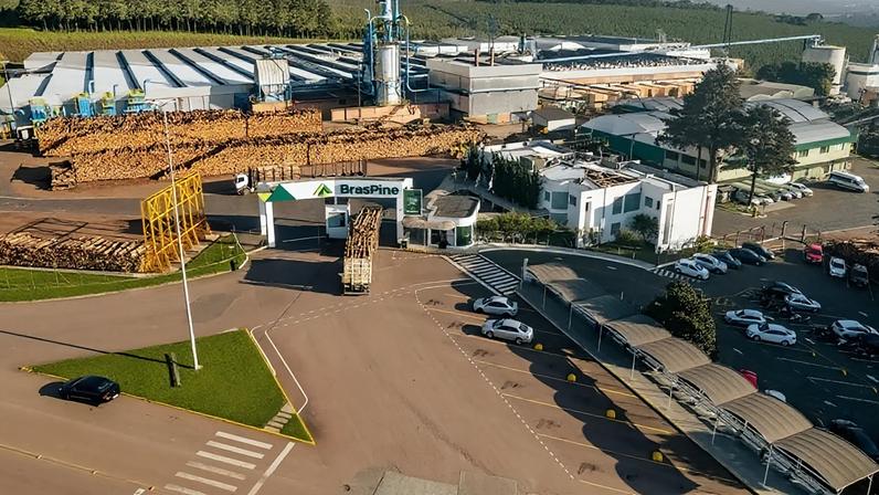 Braspine_Divulg Unidade do Paraná é uma das duas plantas da companhia florestal