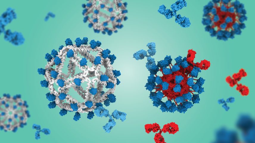 Two hollow spheres of DNA, left, and protein, right, that are covered in bits of HIV antigen.
