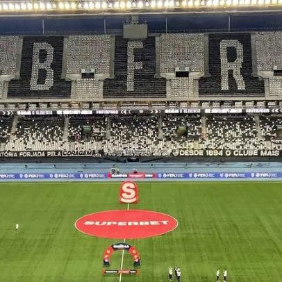 Ex-capitão da Seleção ameniza críticas ao gramado sintético do Botafogo
